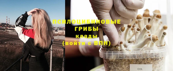 каннабис Горно-Алтайск